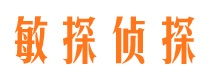 陆丰敏探私家侦探公司